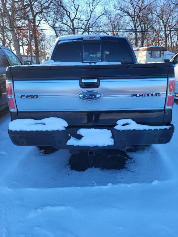 2010 Ford F-150 Image 4