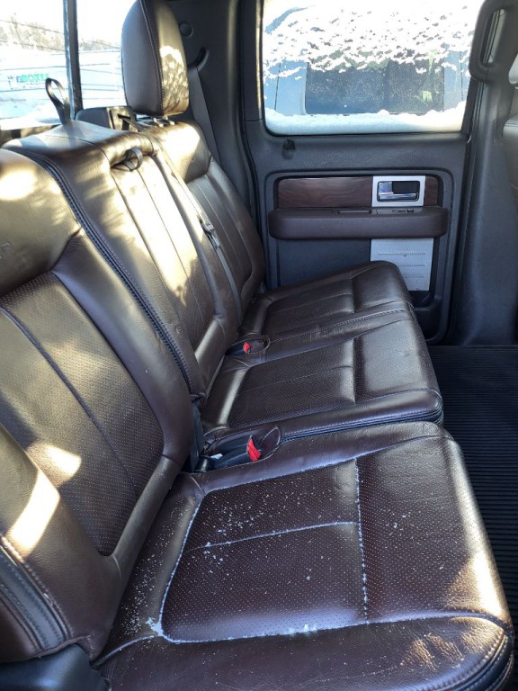 2010 Ford F-150 Image 6