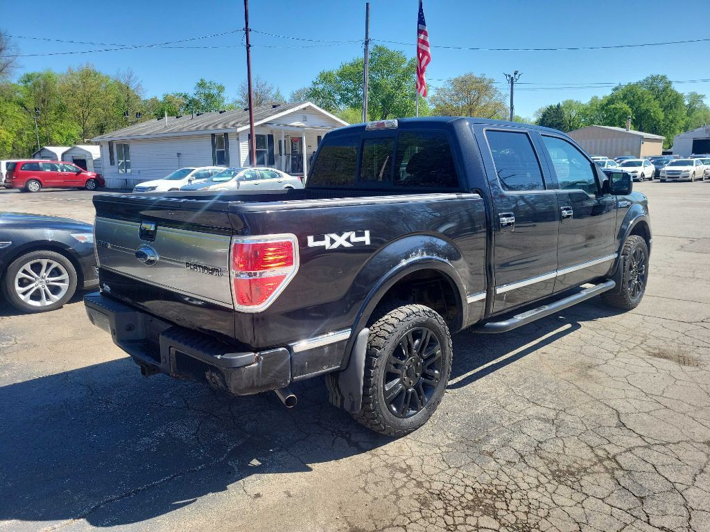 2010 Ford F-150 Image 3