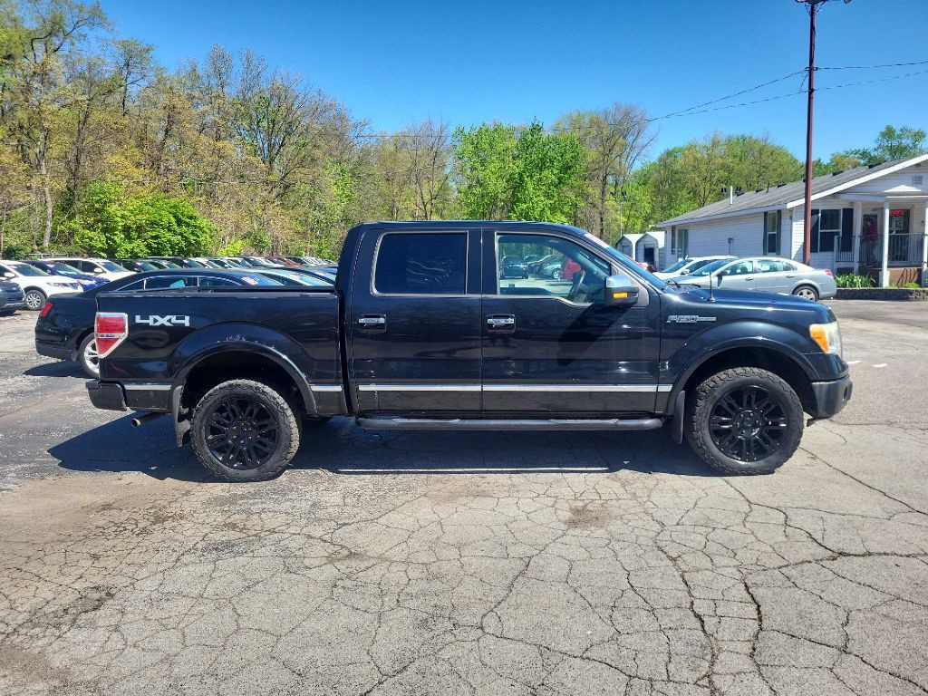 2010 Ford F-150 Image 4