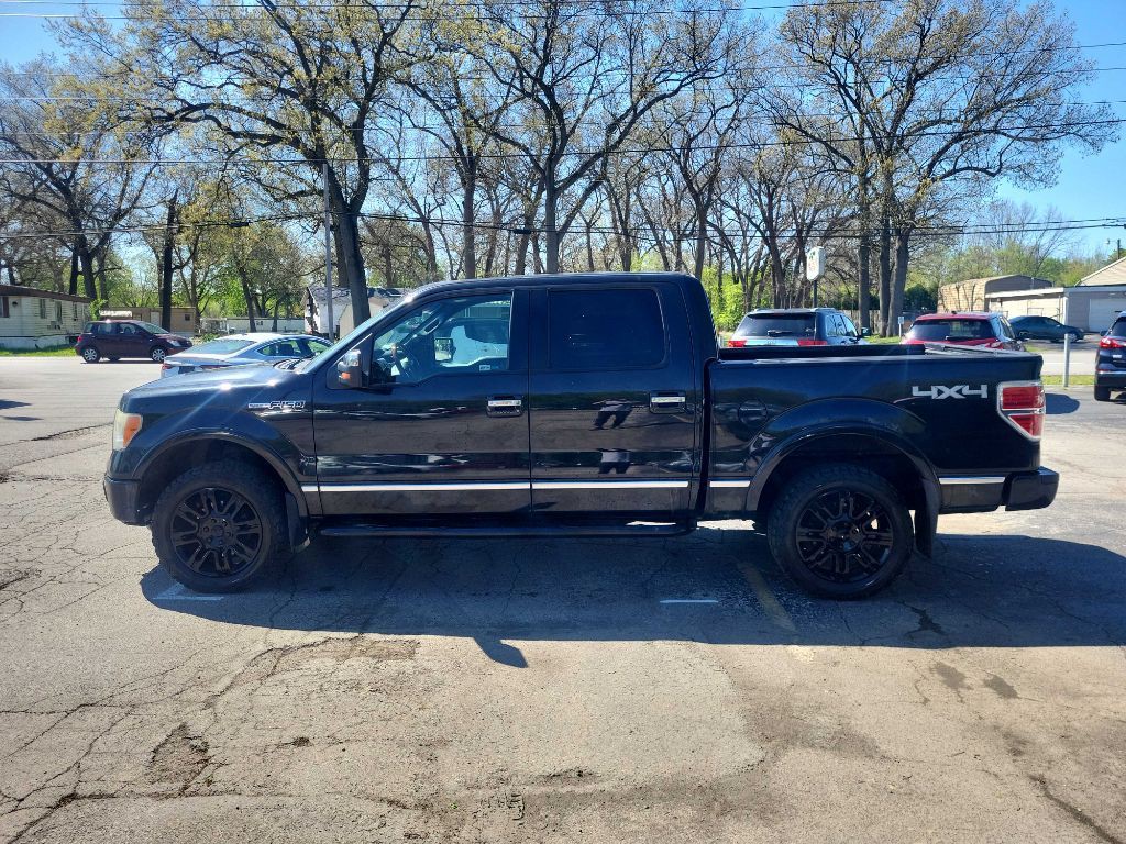 2010 Ford F-150 Image 7