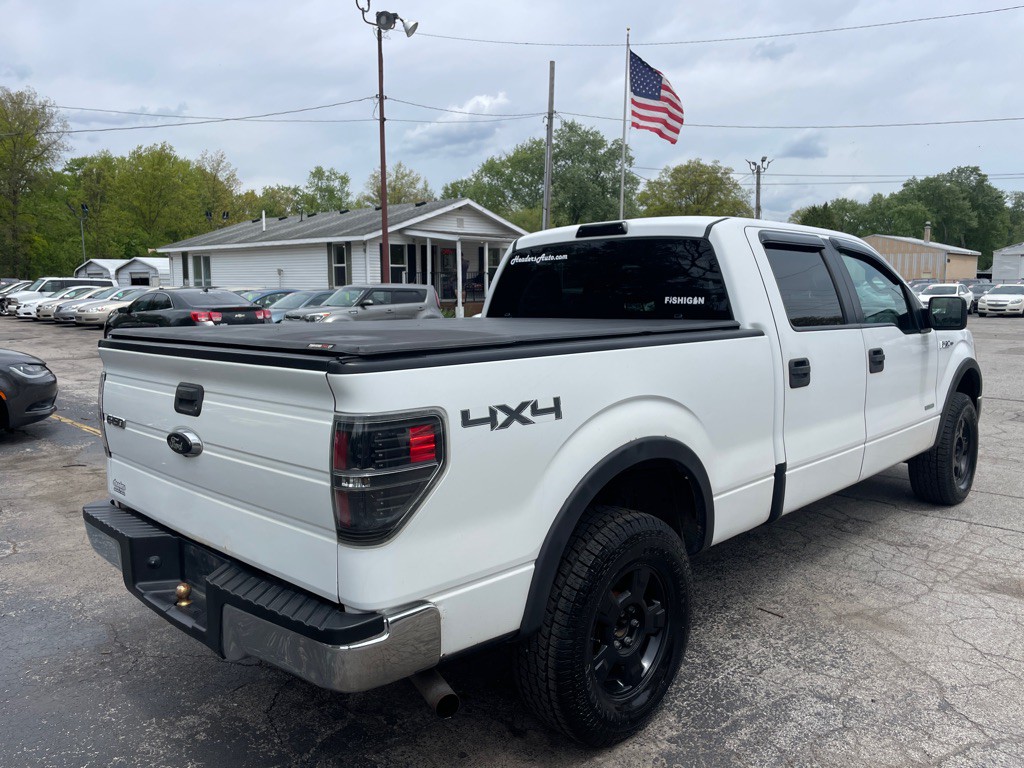 2014 Ford F-150 Image 5