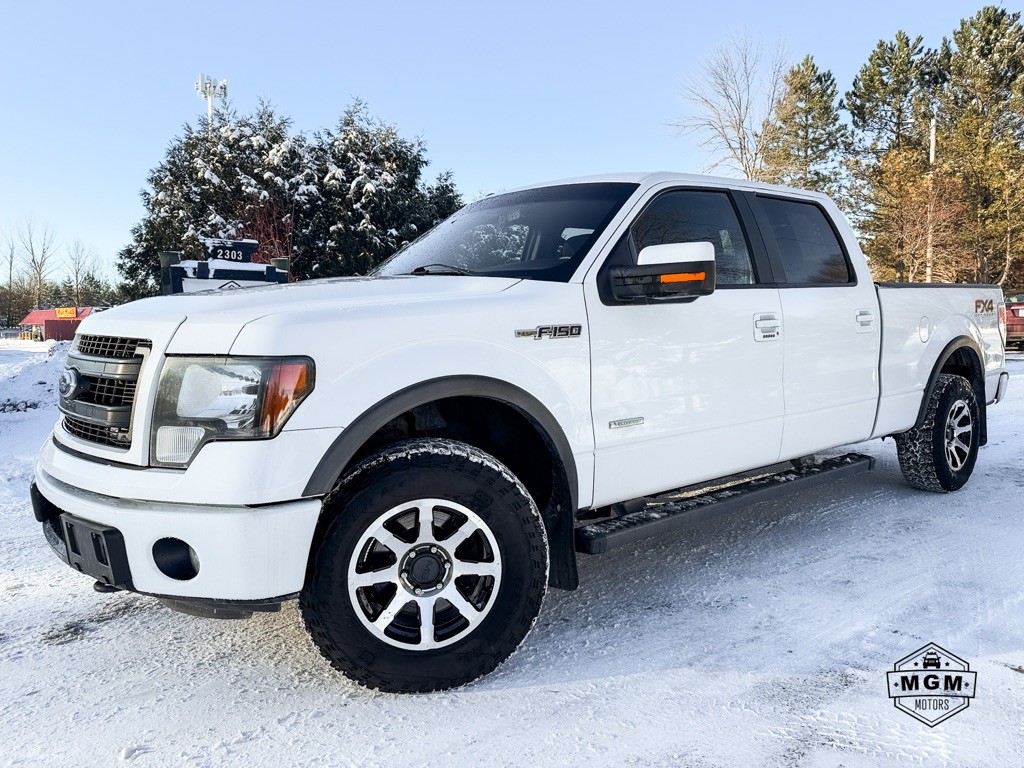 2014 Ford F-150 Image 1