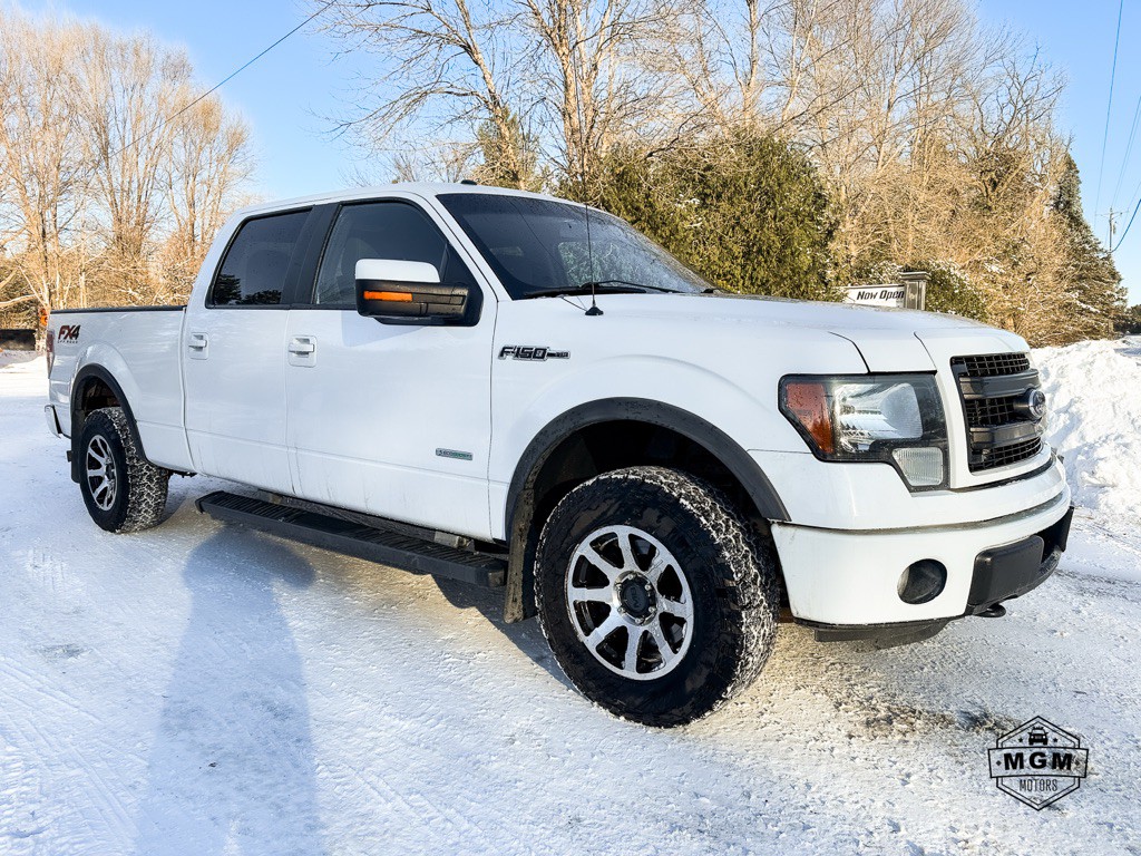 2014 Ford F-150 Image 5