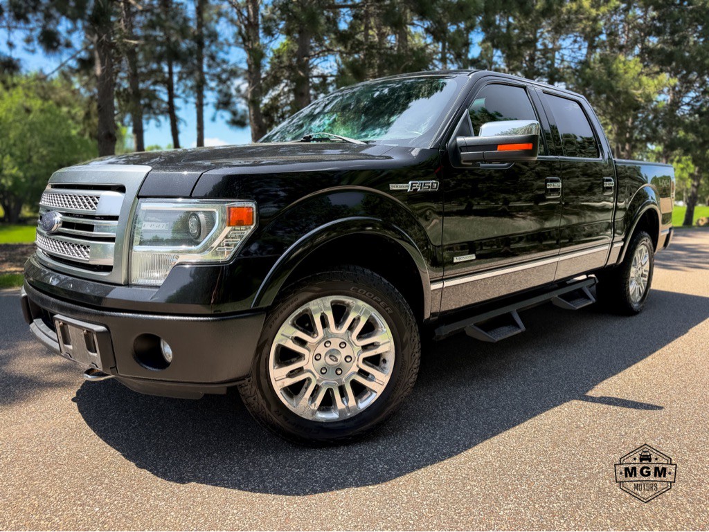 2014 Ford F-150 Image 1