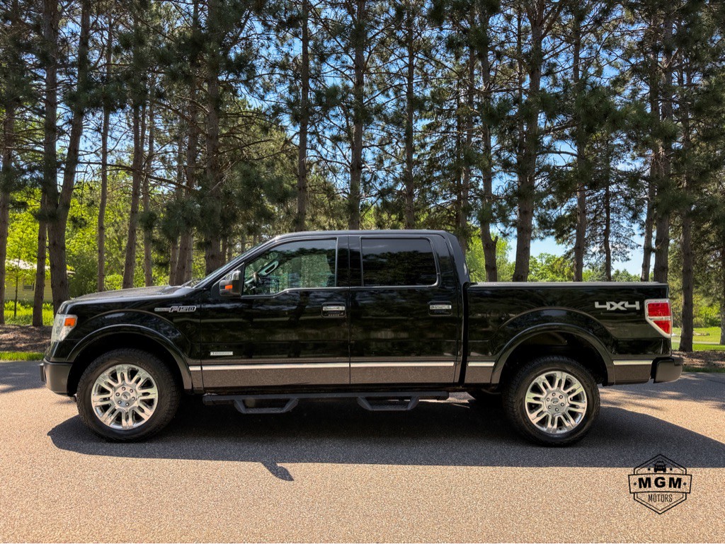2014 Ford F-150 Image 2