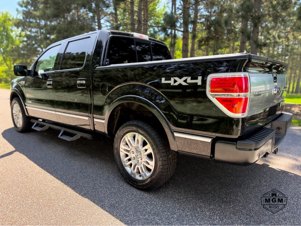 2014 Ford F-150 Image 3