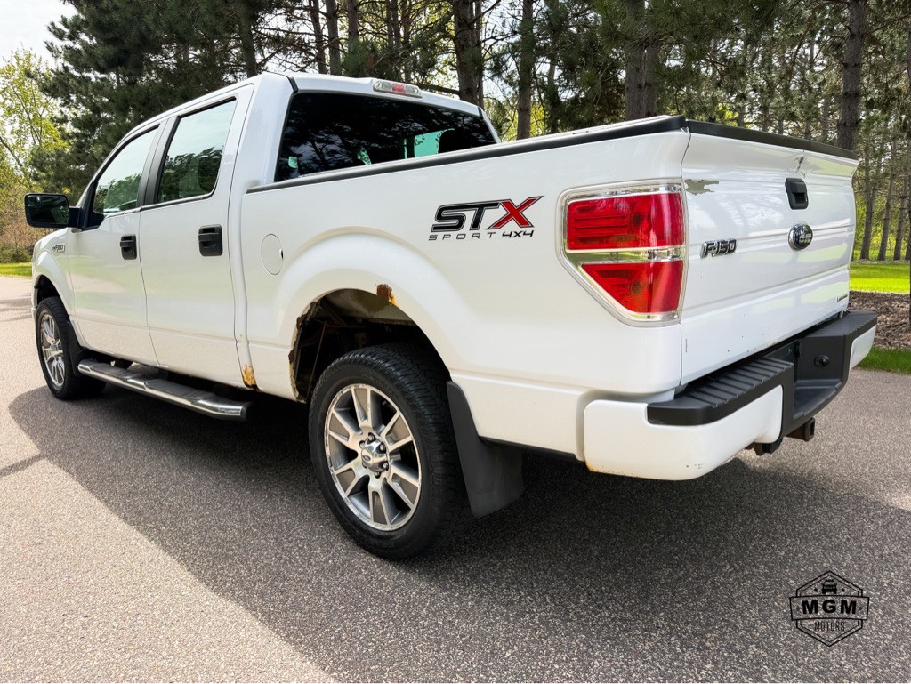 2014 Ford F-150 Image 3