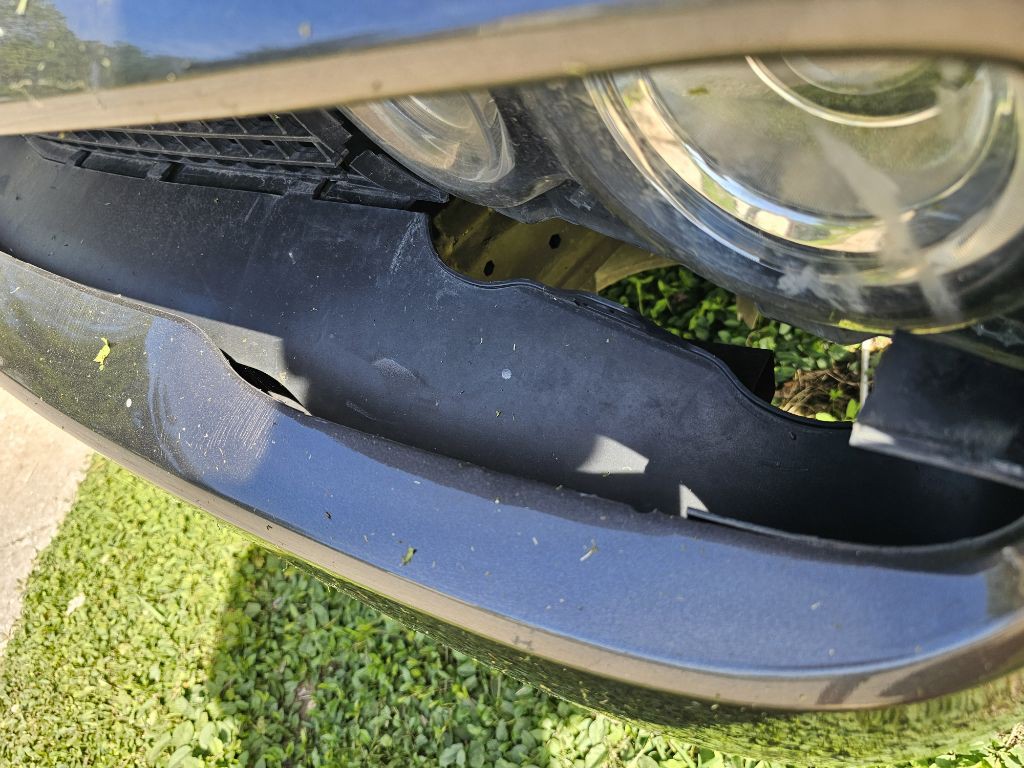 2019 Dodge Challenger Image 11
