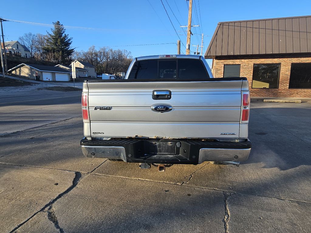 2013 Ford F-150 Image 6