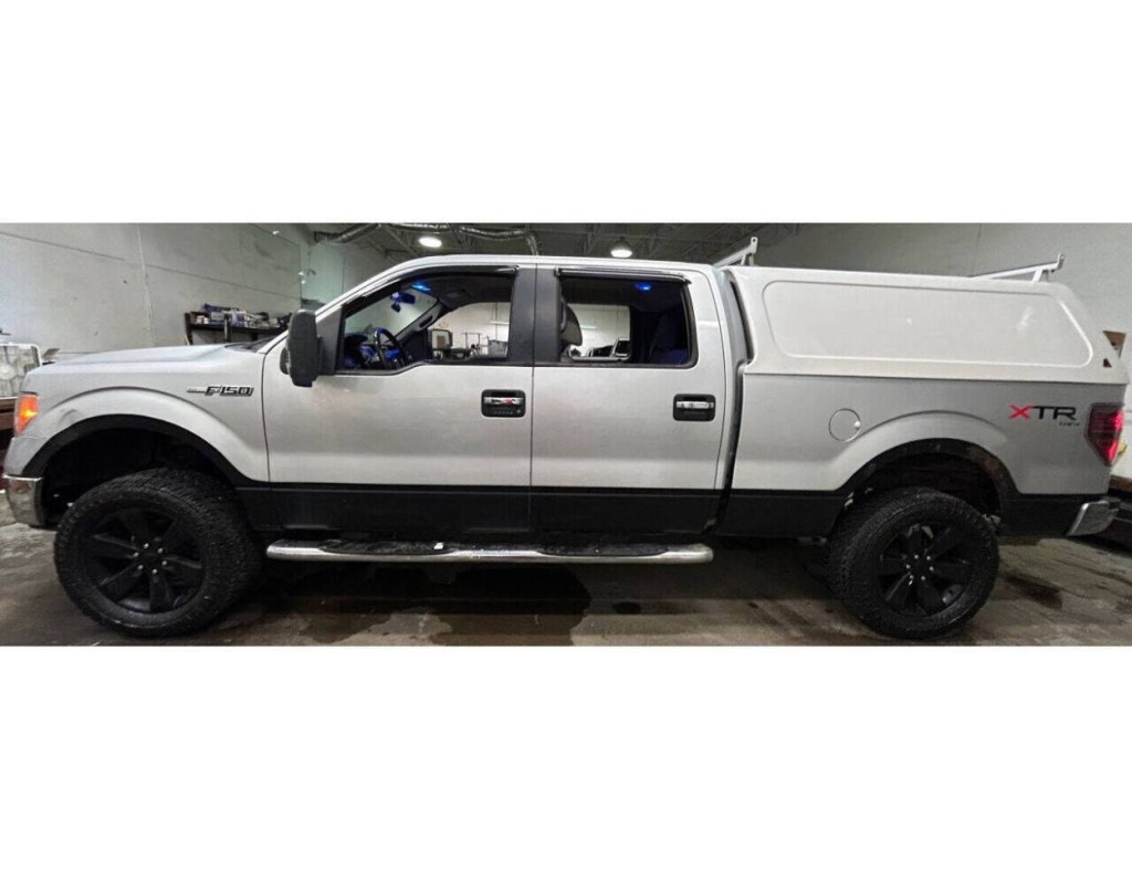 2010 Ford F-150 Image 2