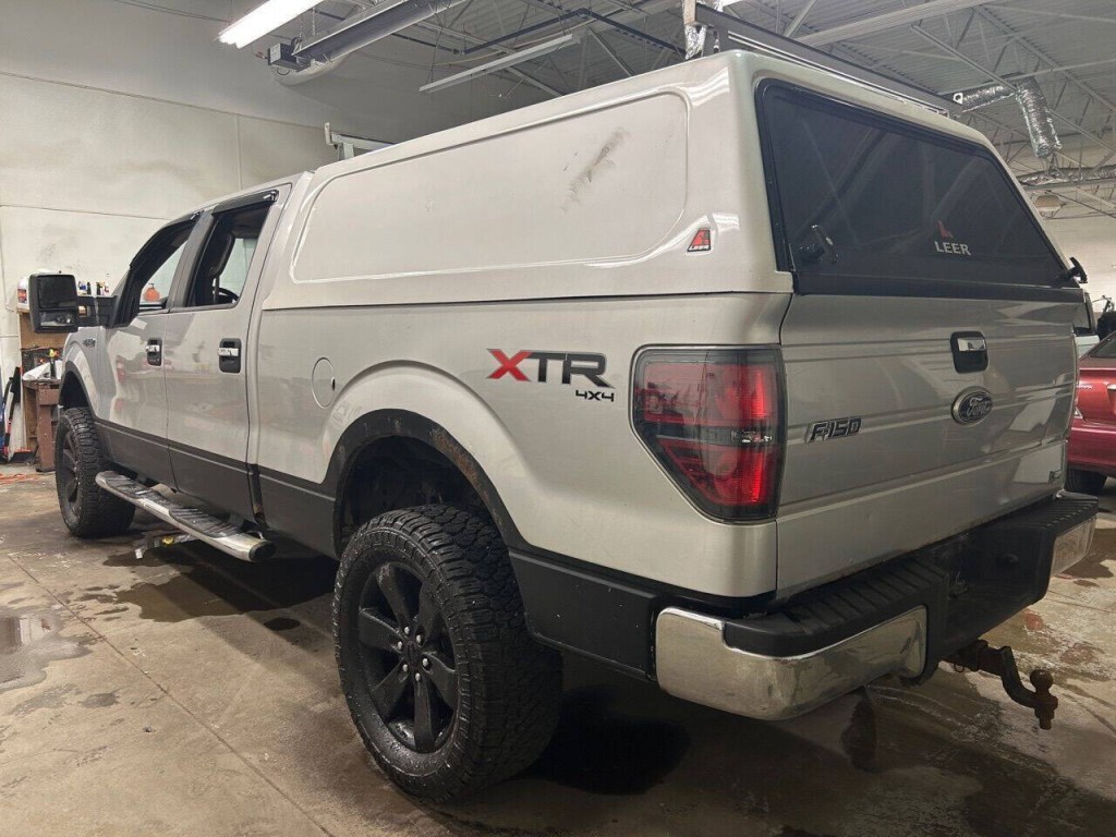 2010 Ford F-150 Image 3