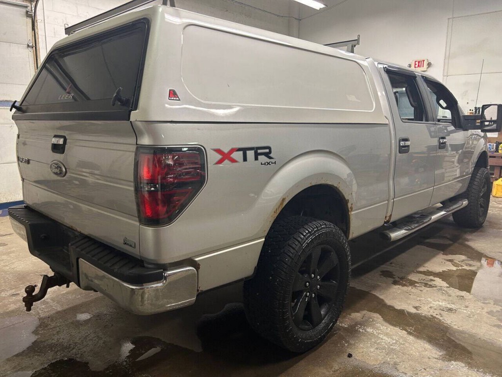 2010 Ford F-150 Image 4
