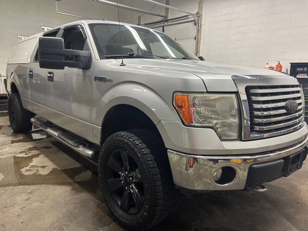 2010 Ford F-150 Image 7