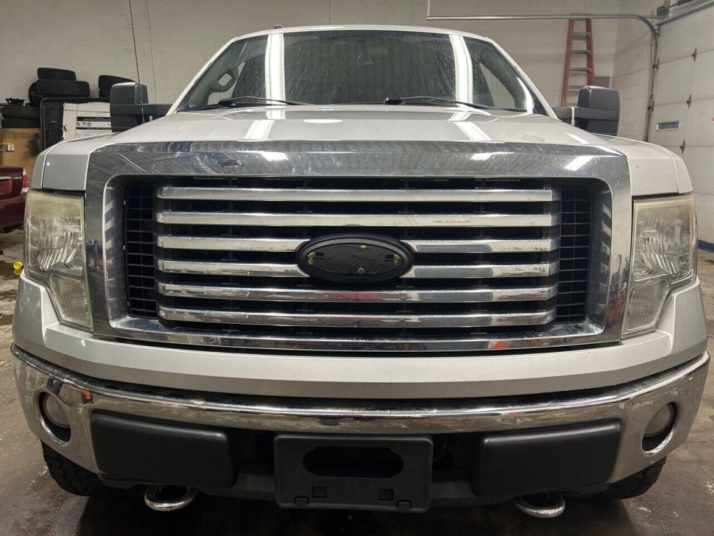 2010 Ford F-150 Image 8