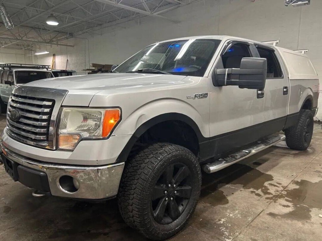 2010 Ford F-150 Image 1