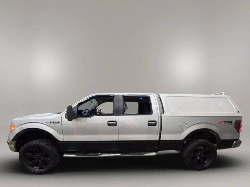 2010 Ford F-150 Image 2