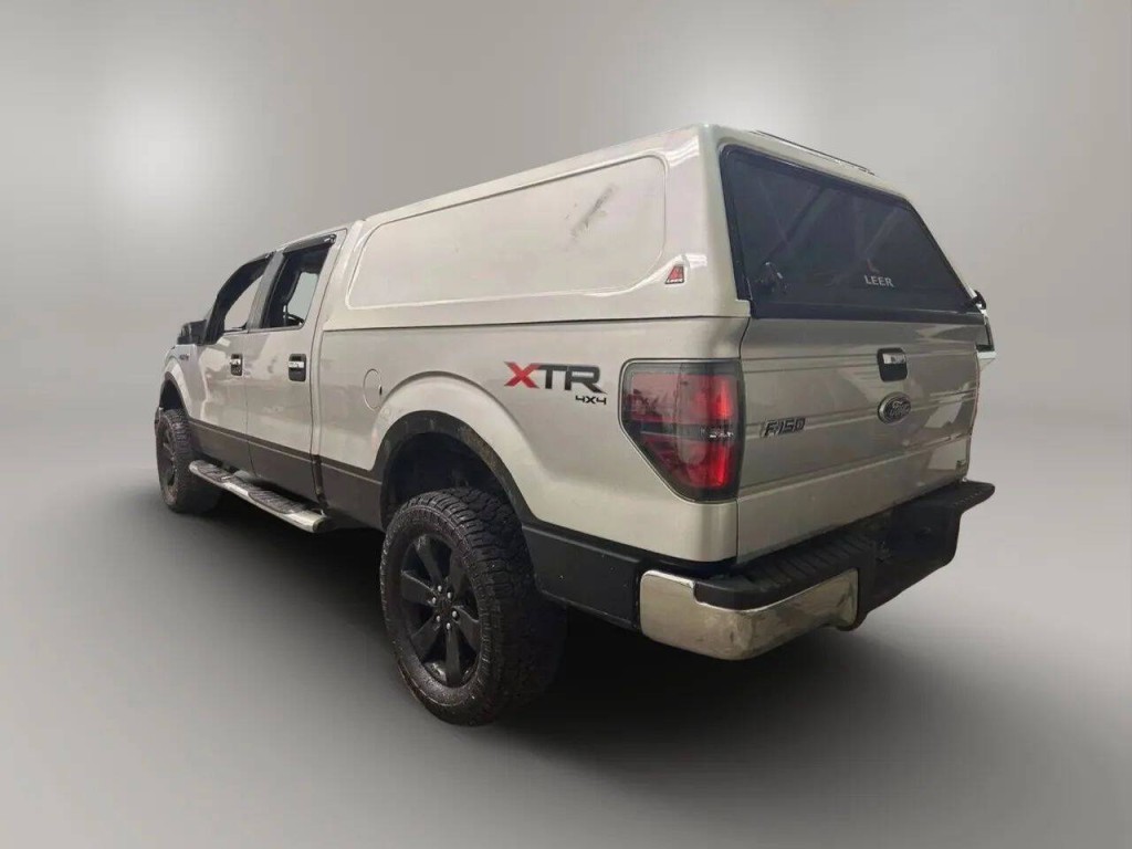 2010 Ford F-150 Image 3