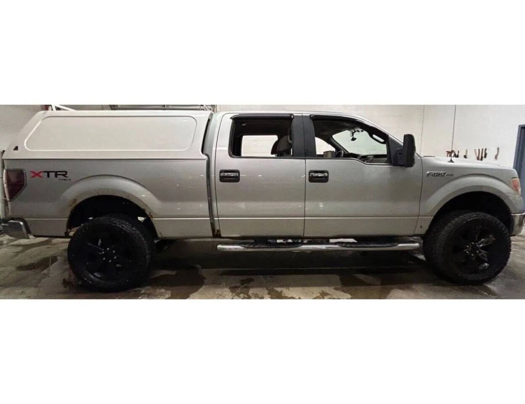 2010 Ford F-150 Image 5