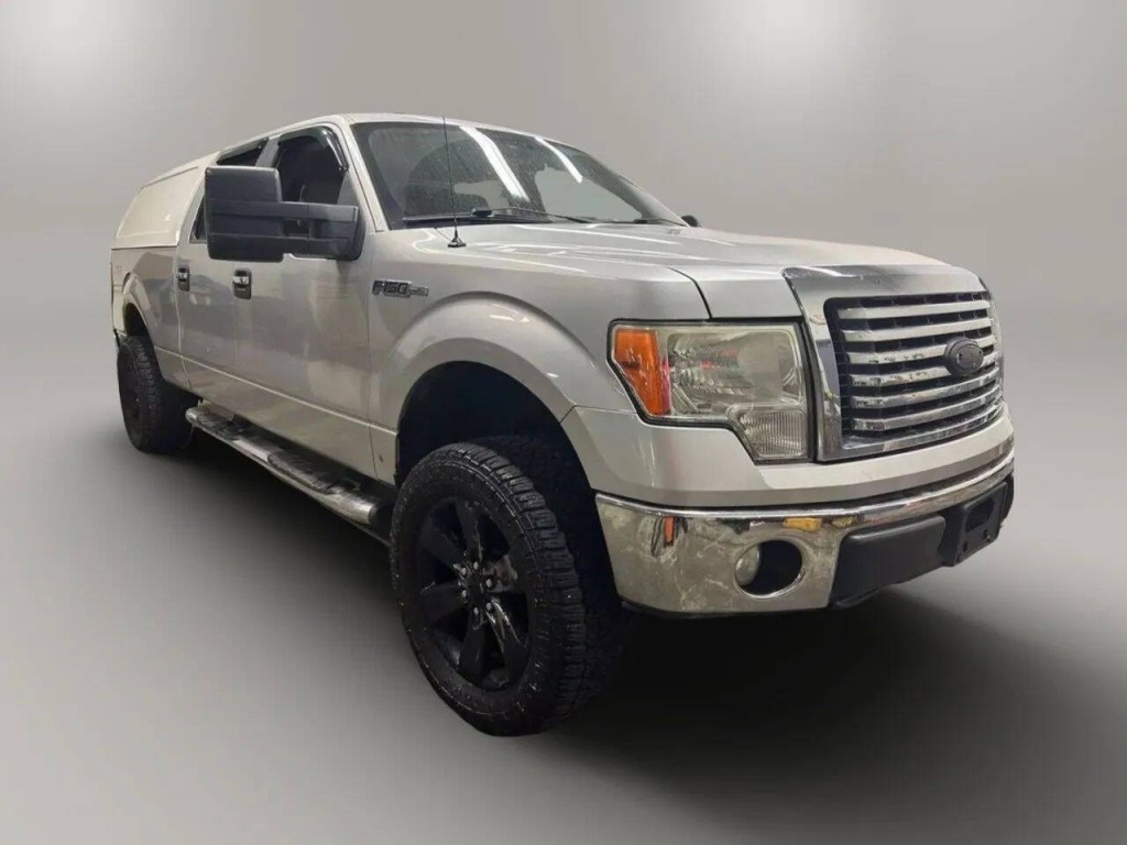 2010 Ford F-150 Image 6