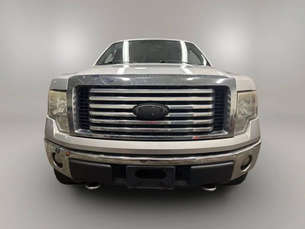 2010 Ford F-150 Image 7