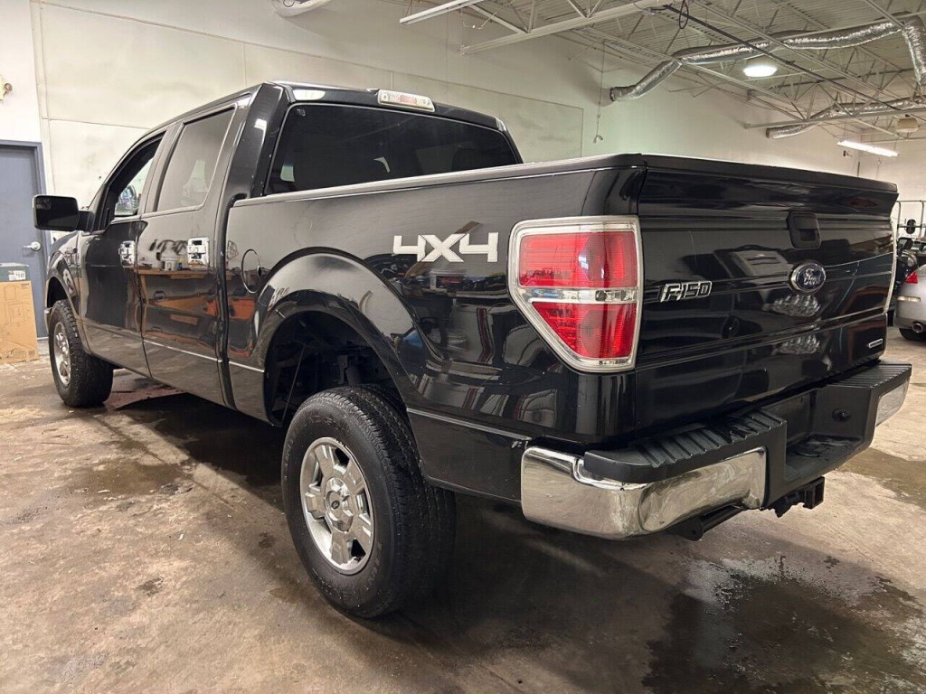 2014 Ford F-150 Image 3
