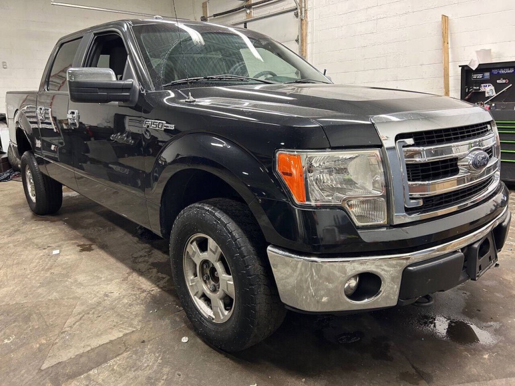 2014 Ford F-150 Image 7