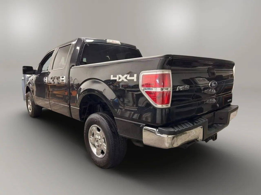 2014 Ford F-150 Image 3