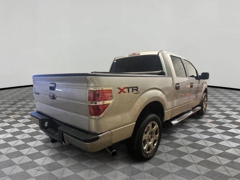 2010 Ford F-150 Image 2