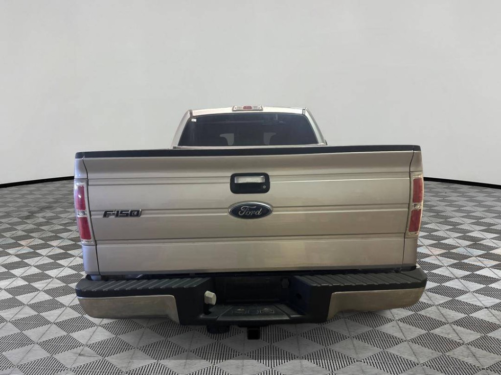 2010 Ford F-150 Image 3