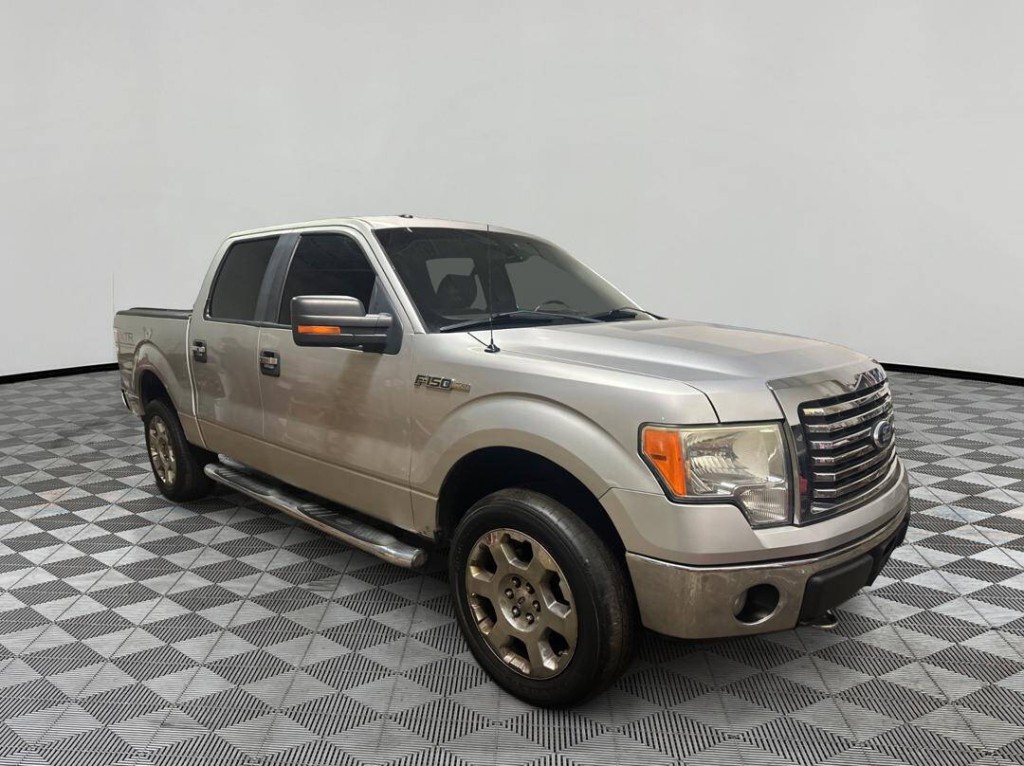 2010 Ford F-150 Image 8