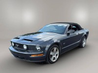 Image for 2007 Ford Mustang GT Deluxe ID: 6788022