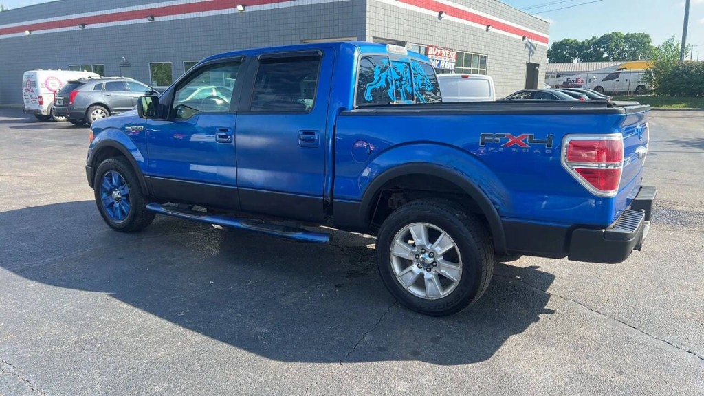 2010 Ford F-150 Image 3