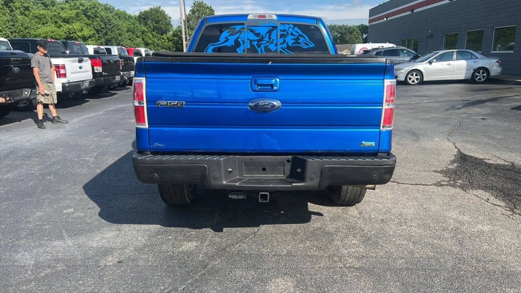 2010 Ford F-150 Image 4