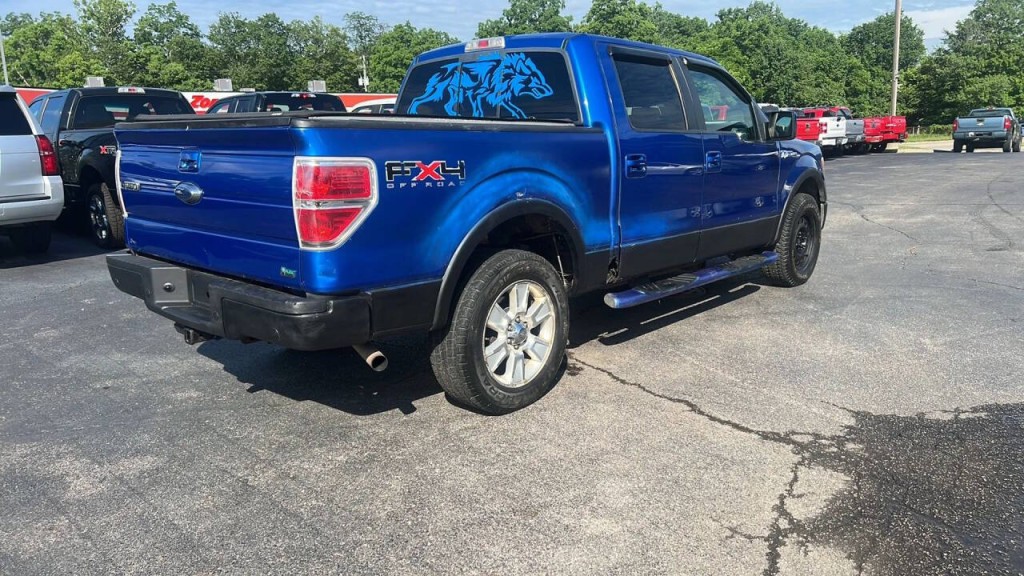 2010 Ford F-150 Image 5