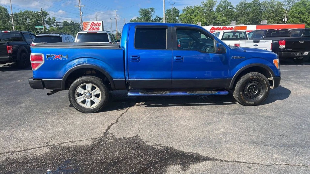 2010 Ford F-150 Image 6