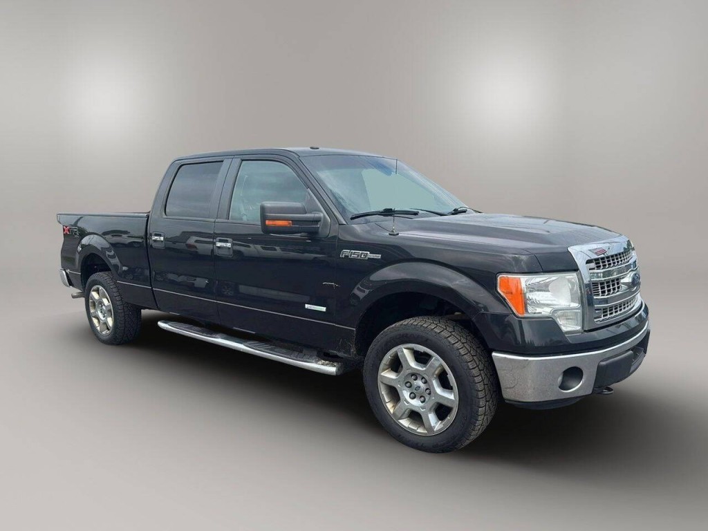 2014 Ford F-150 Image 3