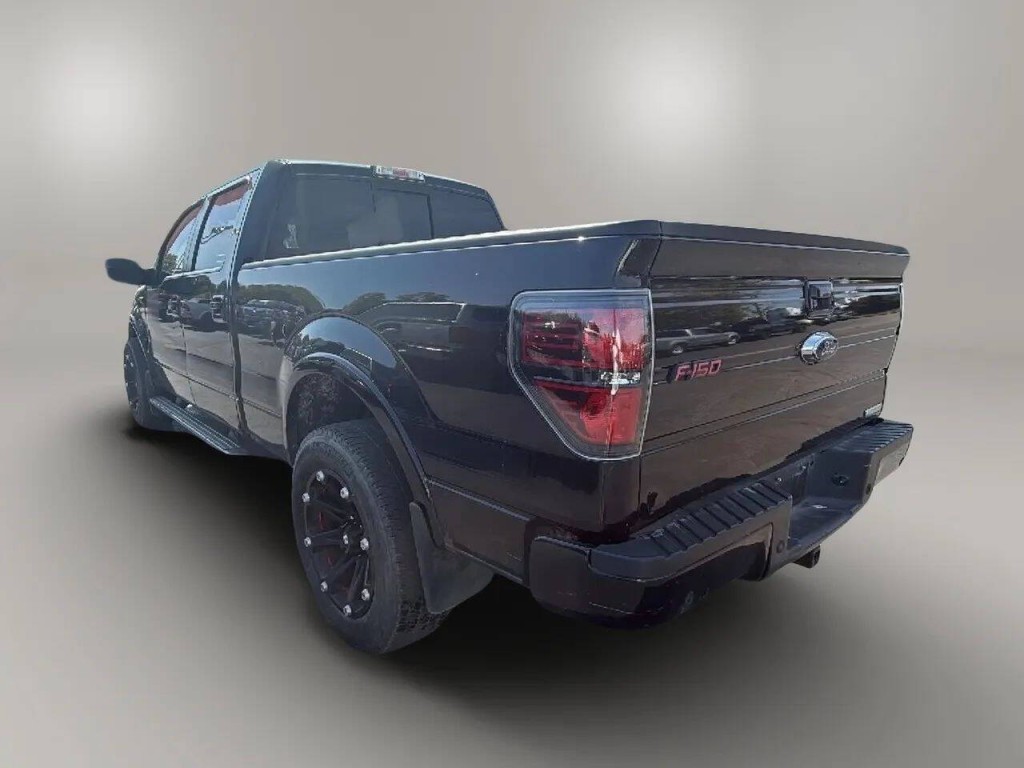 2013 Ford F-150 Image 3