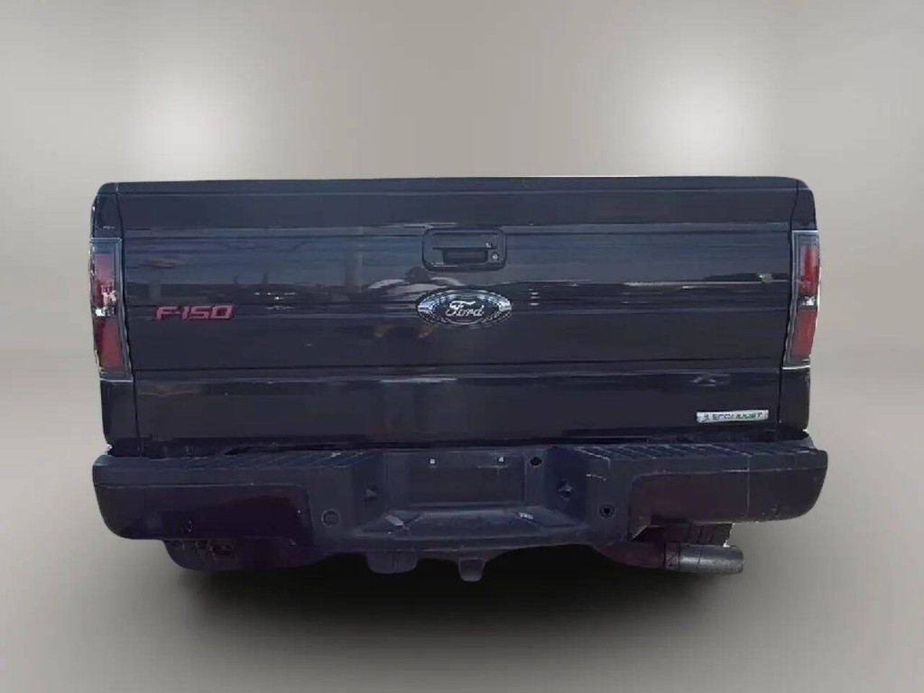 2013 Ford F-150 Image 4