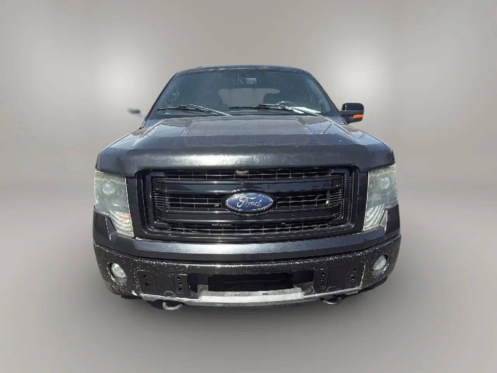 2013 Ford F-150 Image 8