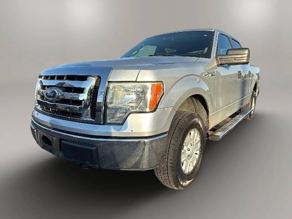 2010 Ford F-150 Image 1