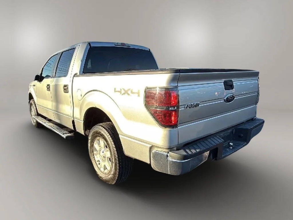 2010 Ford F-150 Image 3