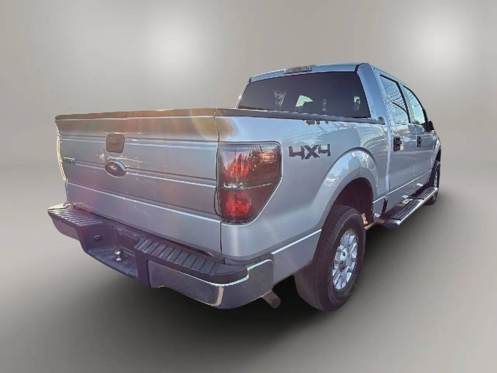 2010 Ford F-150 Image 5