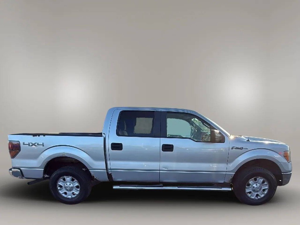 2010 Ford F-150 Image 6