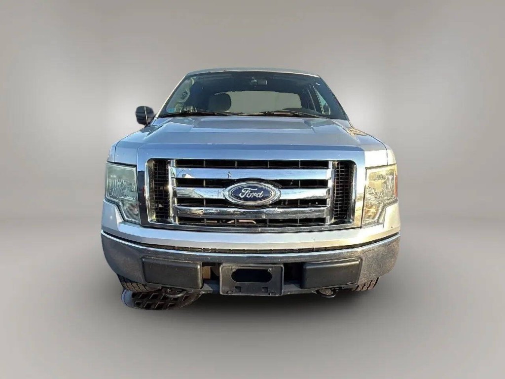 2010 Ford F-150 Image 8