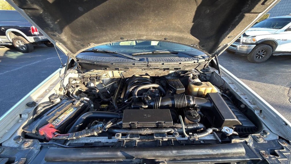 2010 Ford F-150 Image 18