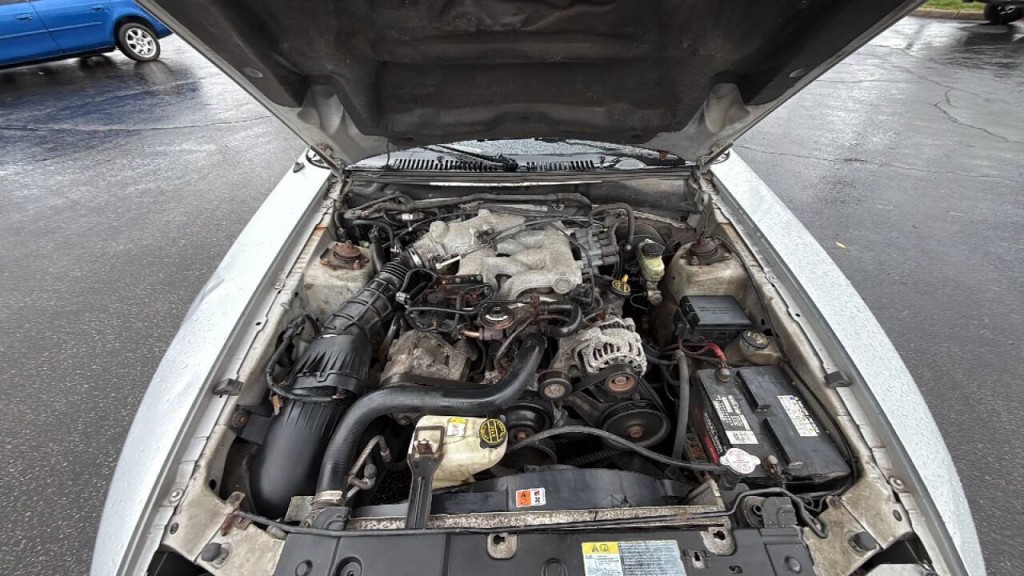 2004 Ford Mustang Image 14