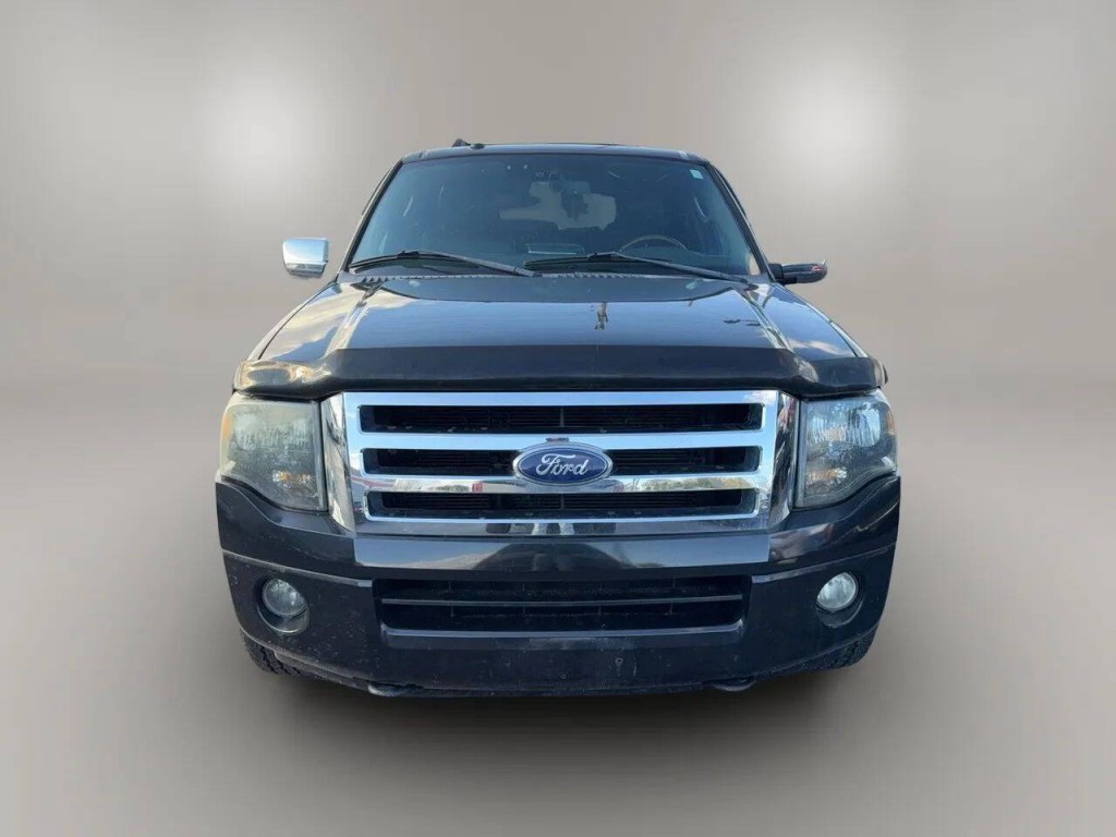 2010 Ford Expedition Image 1