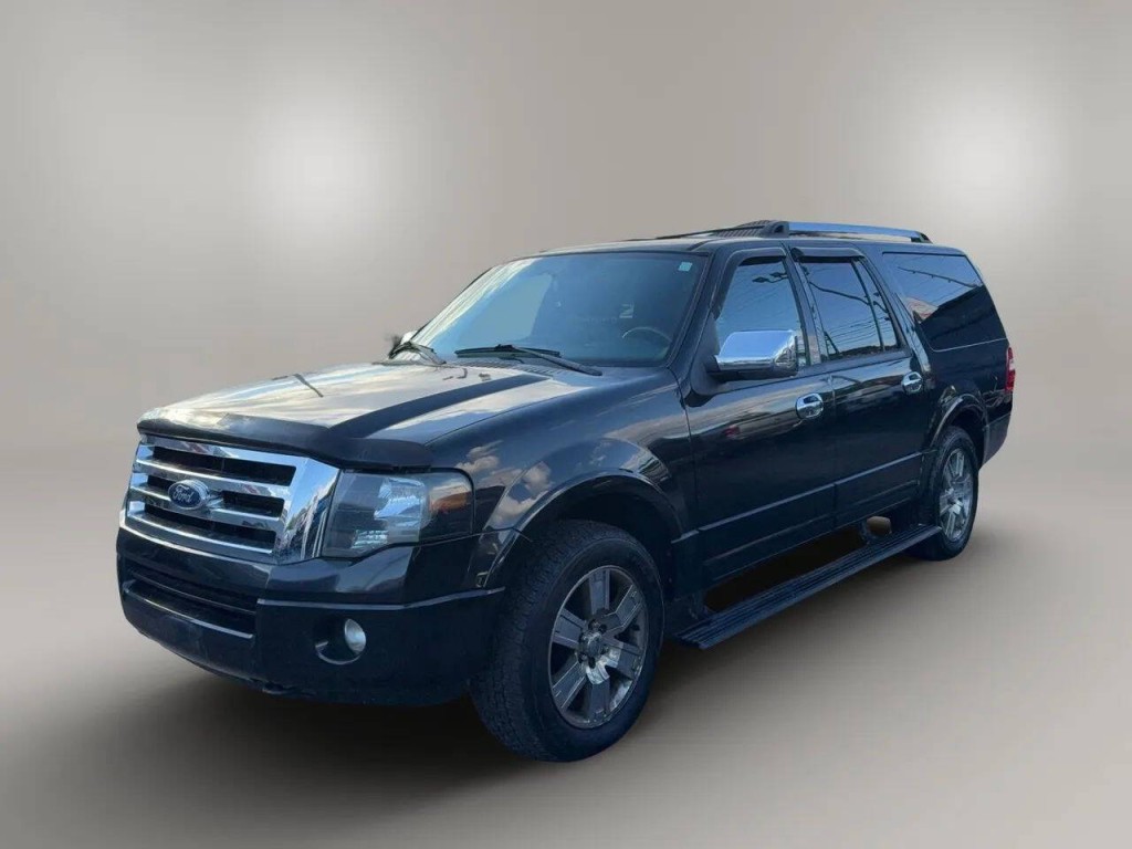 2010 Ford Expedition Image 2