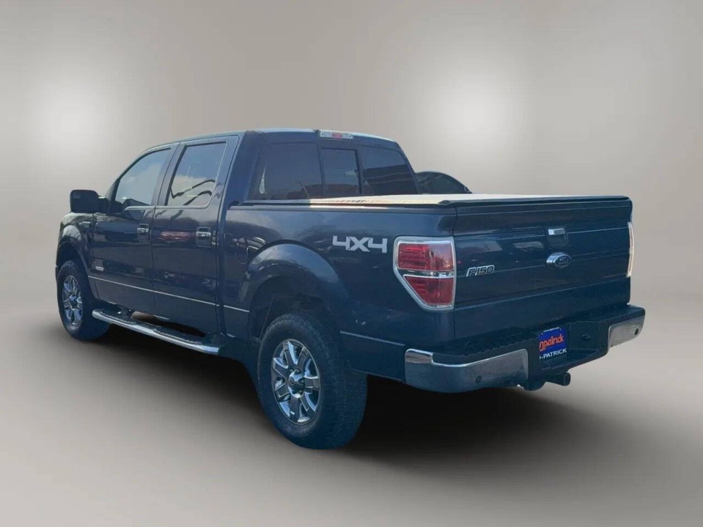 2013 Ford F-150 Image 4